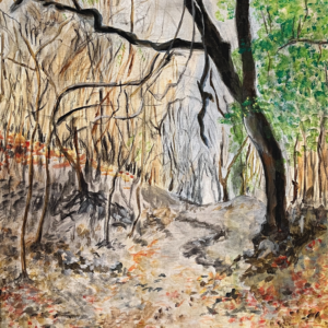 The Quiet Trail