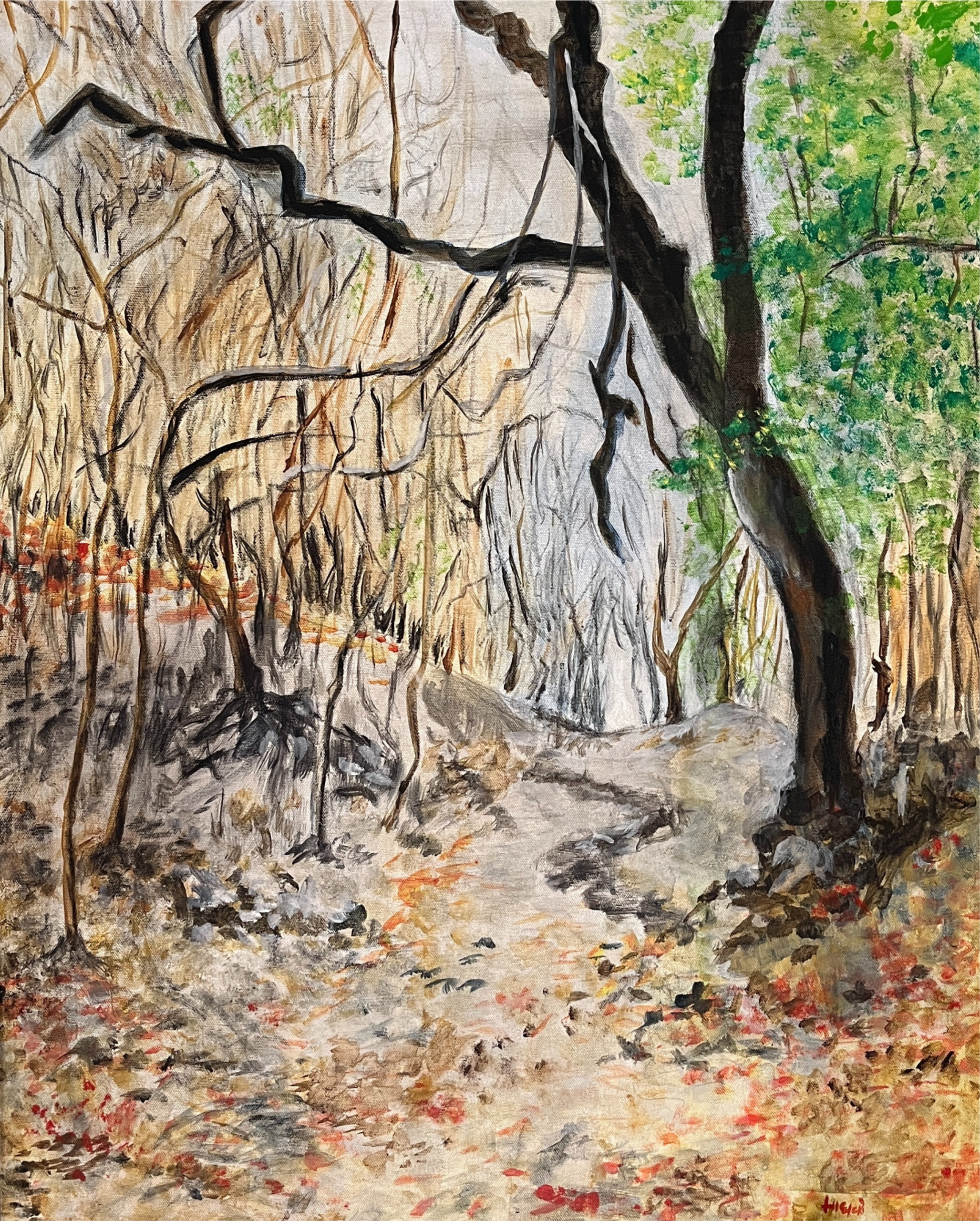 The Quiet Trail